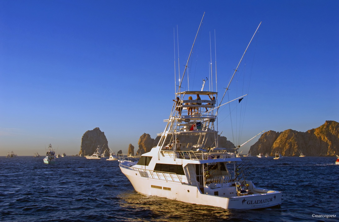 HOCHSEEFISCHEN CABO SAN LUCAS MEXIKO 